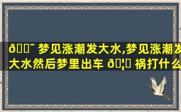 🐯 梦见涨潮发大水,梦见涨潮发大水然后梦里出车 🦊 祸打什么奖